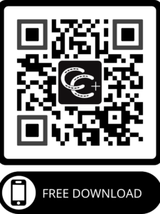 Day Sheet QR code